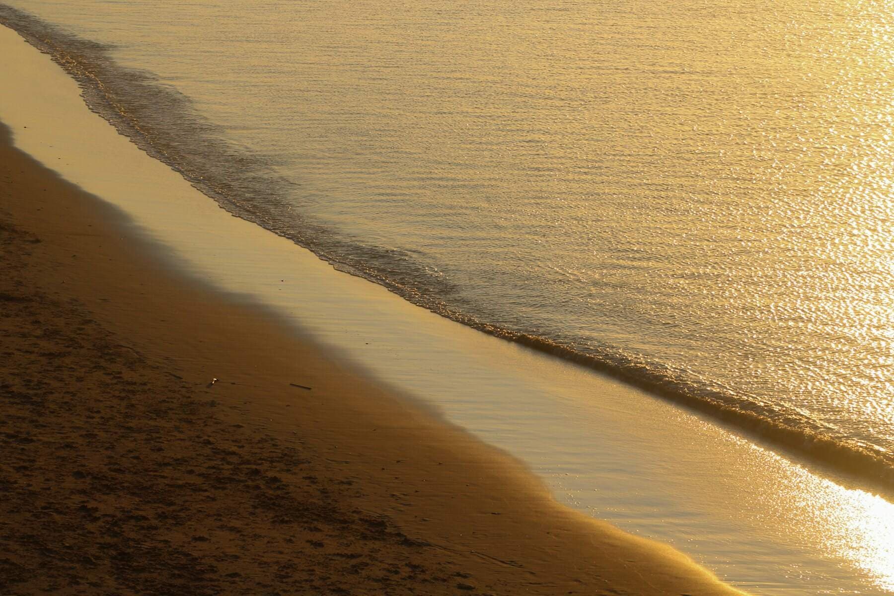 Le bord de l'eau doré par le soleil du soir