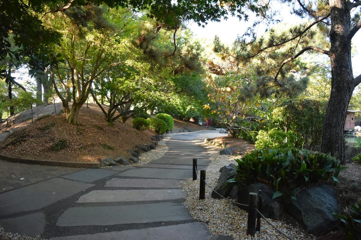 Une allée en pas japonais sous les pins