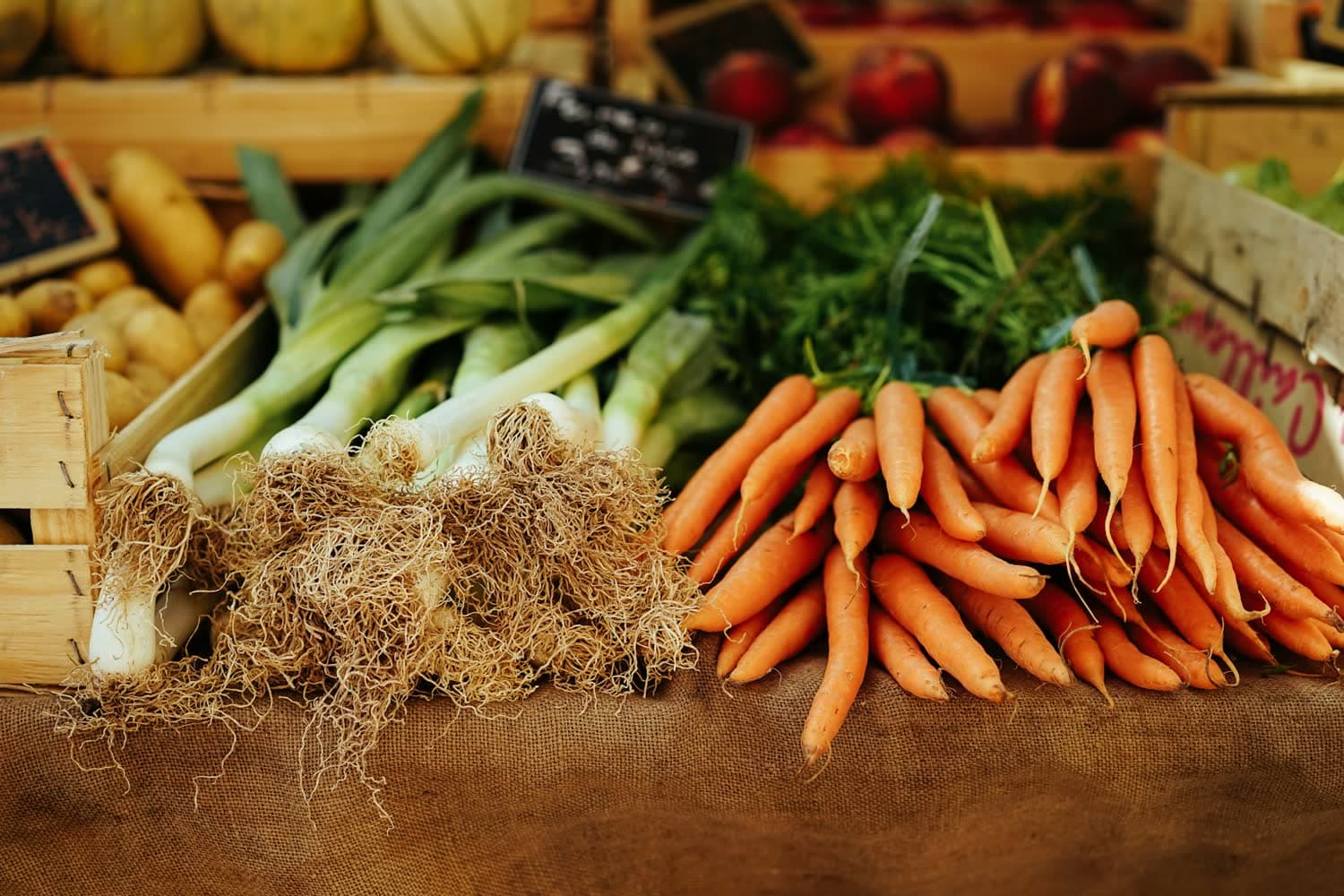 Des bottes de poireaux et de carottes sur l'étal d'un marché